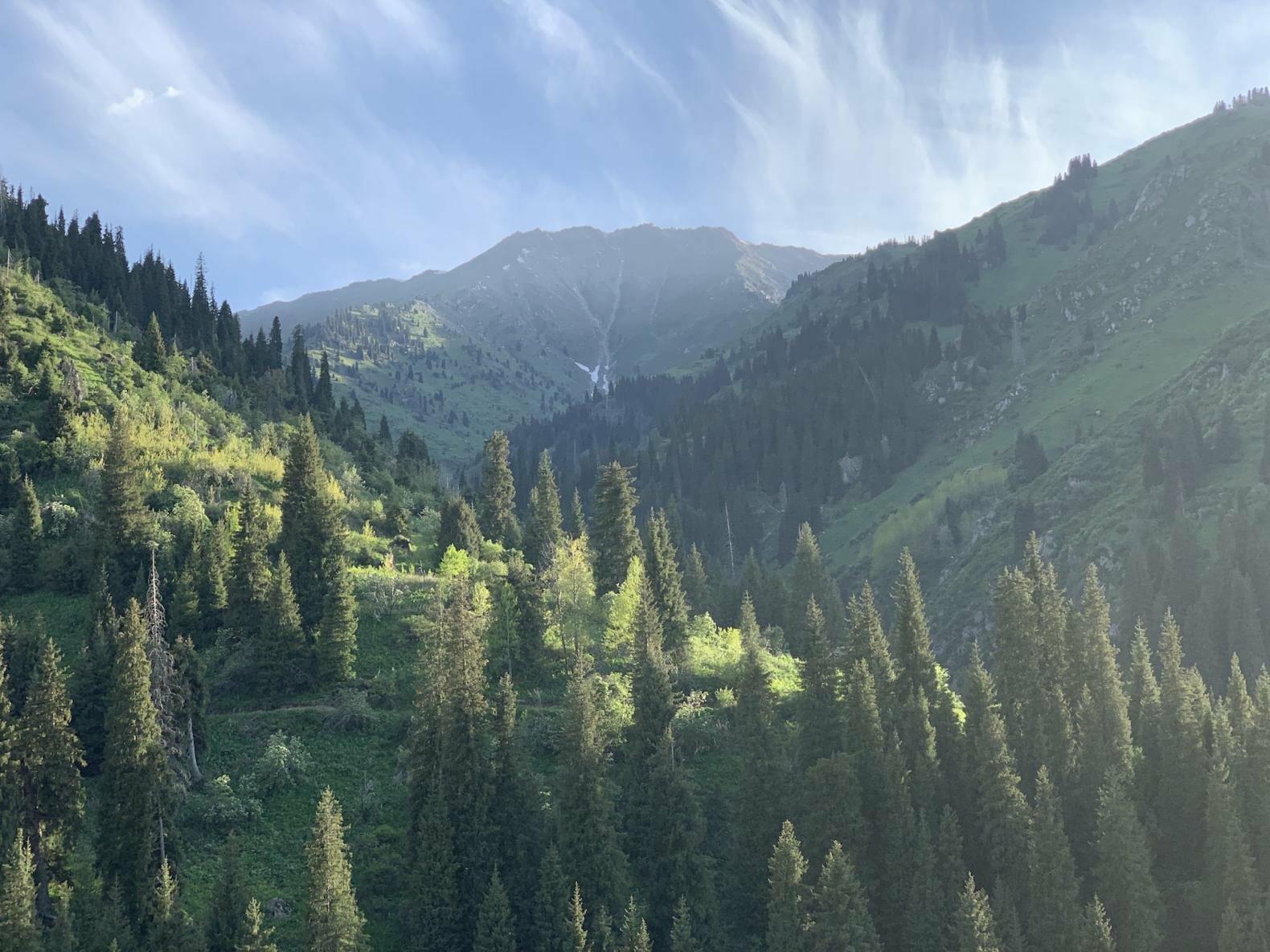 ����: inalmaty.kz