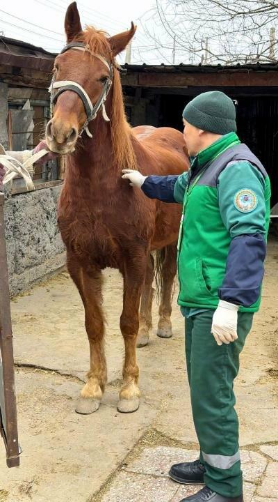 ����: inalmaty.kz