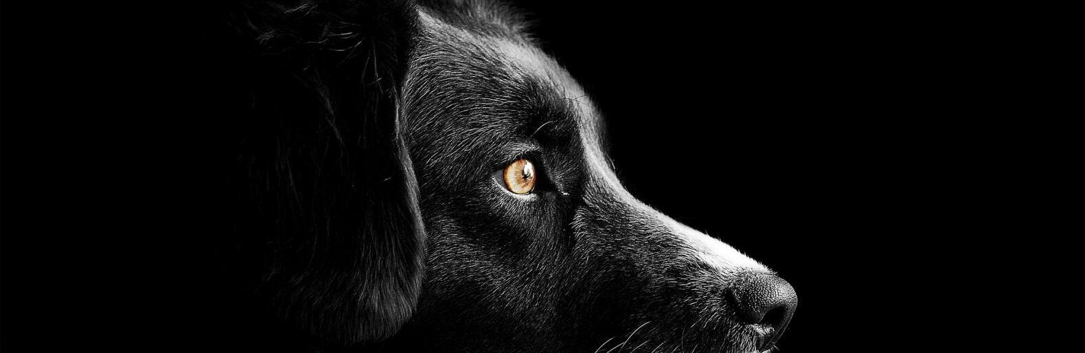 ����: inalmaty.kz