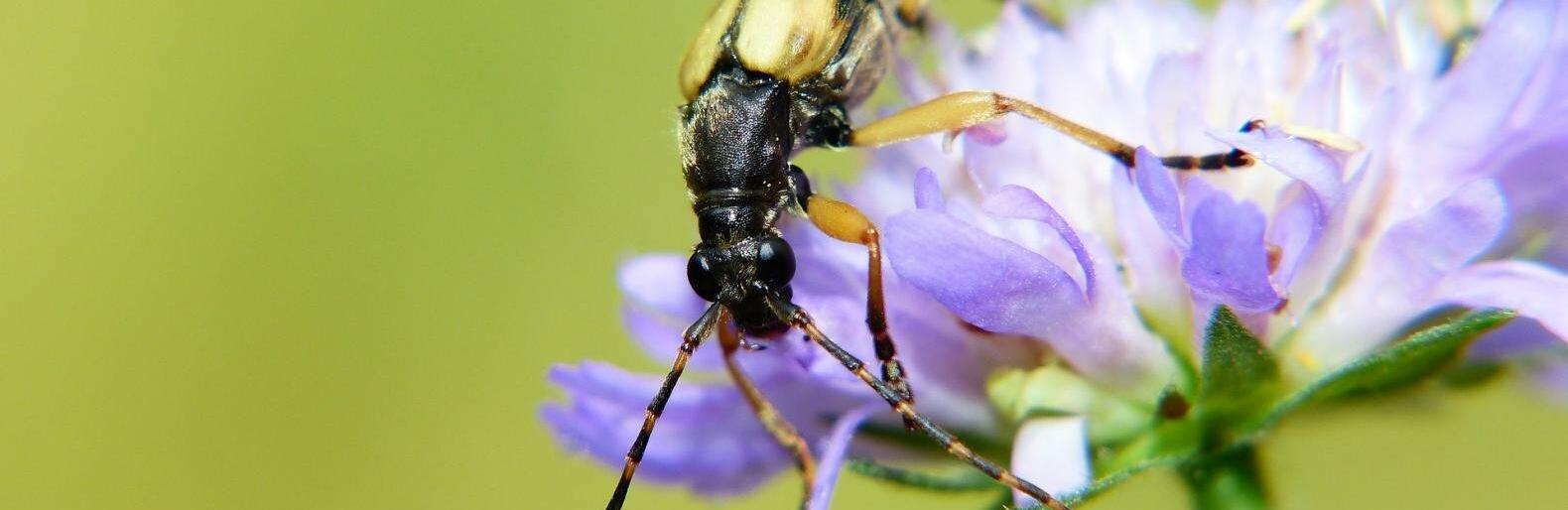 �� 28 �������� ����� ��������� � ������ 30 �������