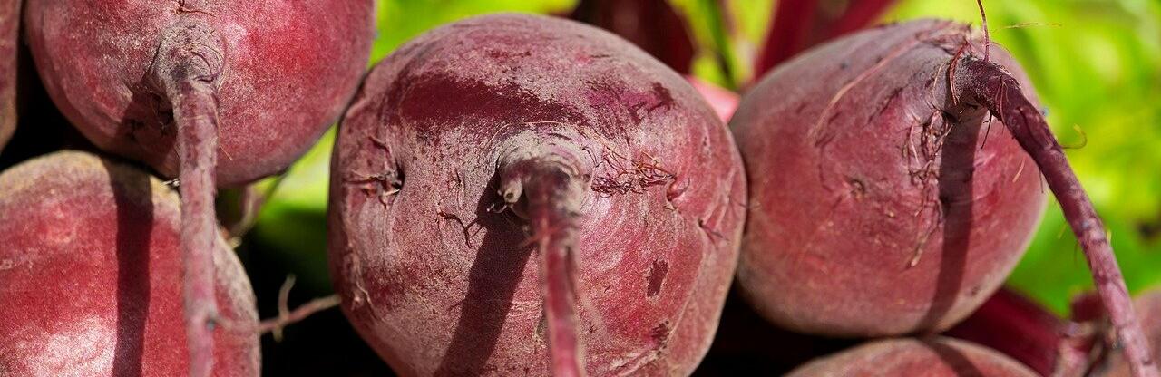 ����: inalmaty.kz