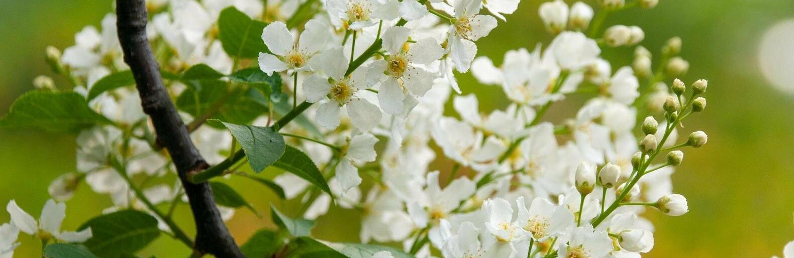 �� 25 �������� ����� ��������� � ������ 29 ������