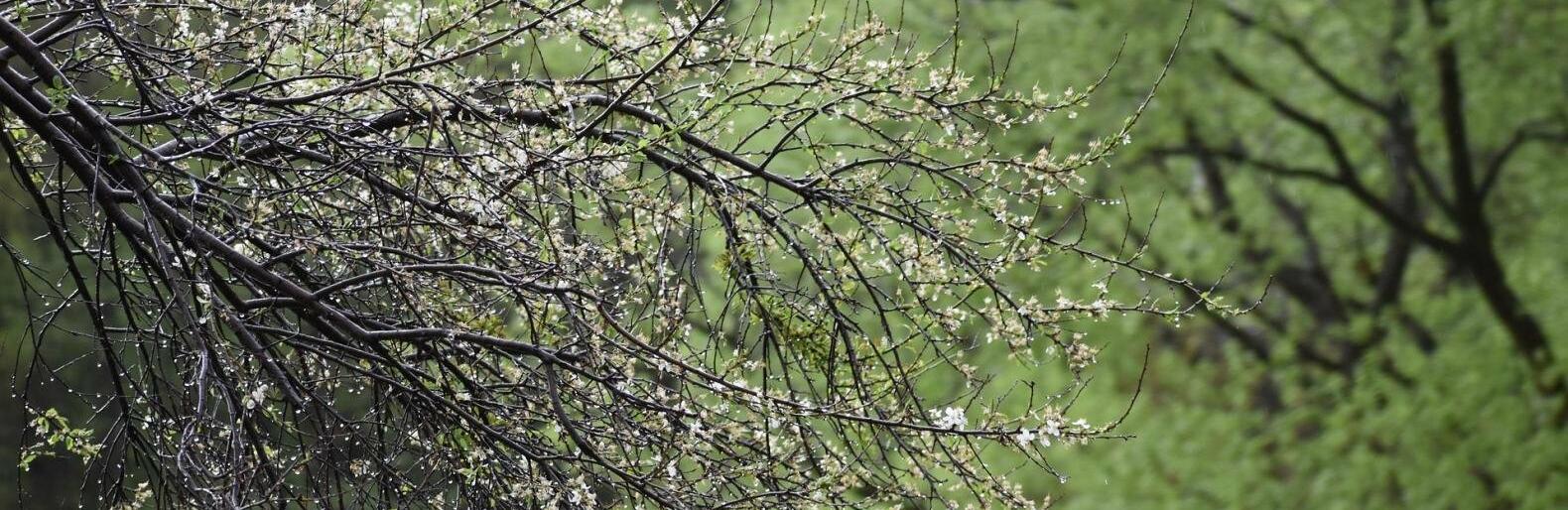 �� 29 �������� ����� ��������� � ������ 1 ���