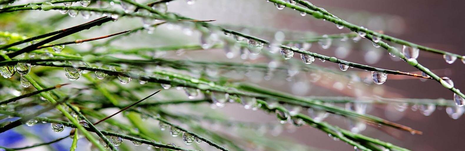 ������ �� ����������� � � ������