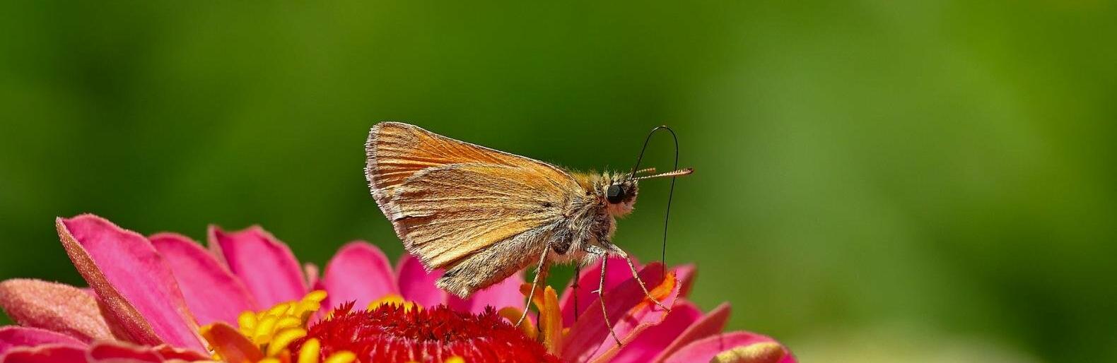 �� 30 �������� ����� ��������� � ������ 11 �������