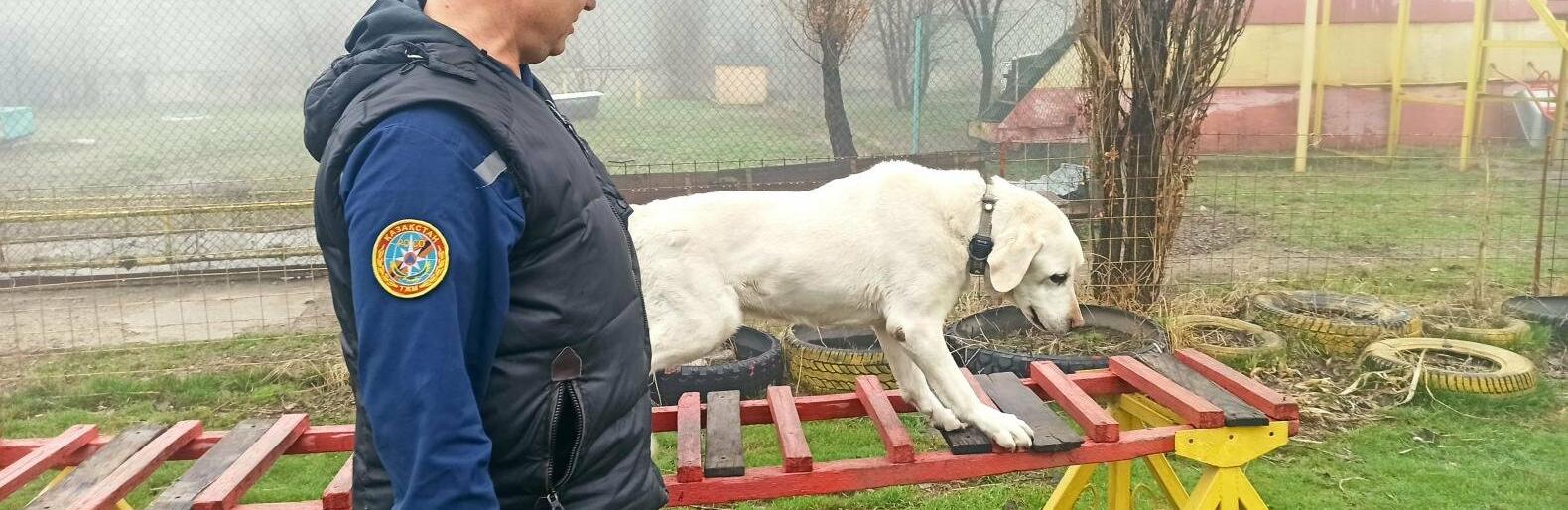 ����: inalmaty.kz