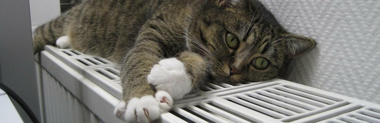 ����: inalmaty.kz