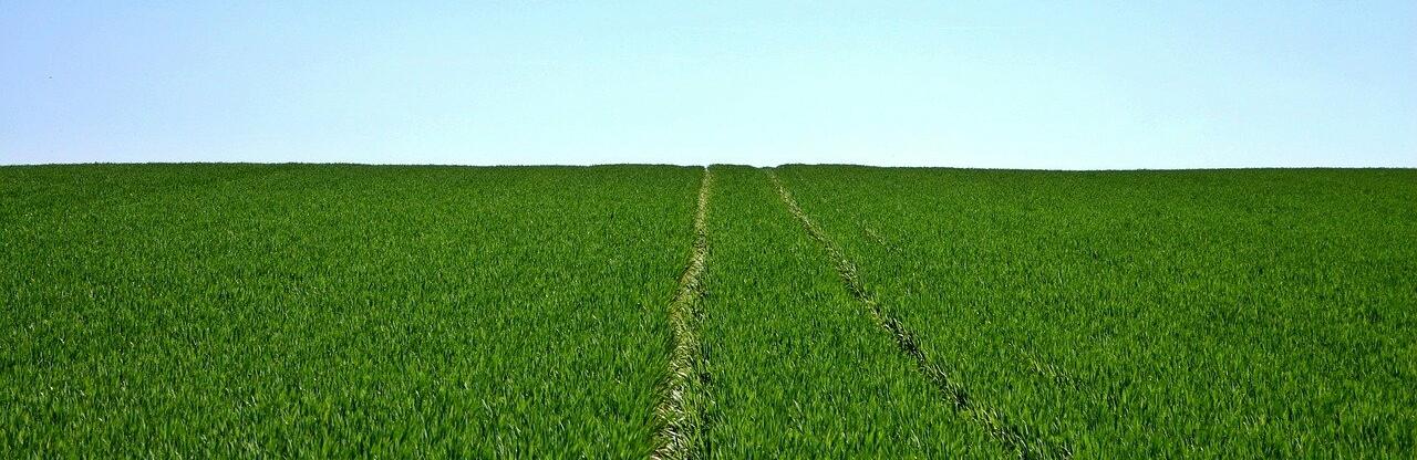  000 �������� ����� ������� ���������������� ����������� ������� 