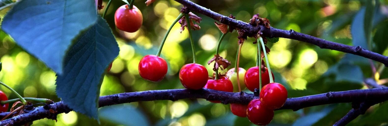 �� 32 �������� ����� ��������� � ������ 22 ����