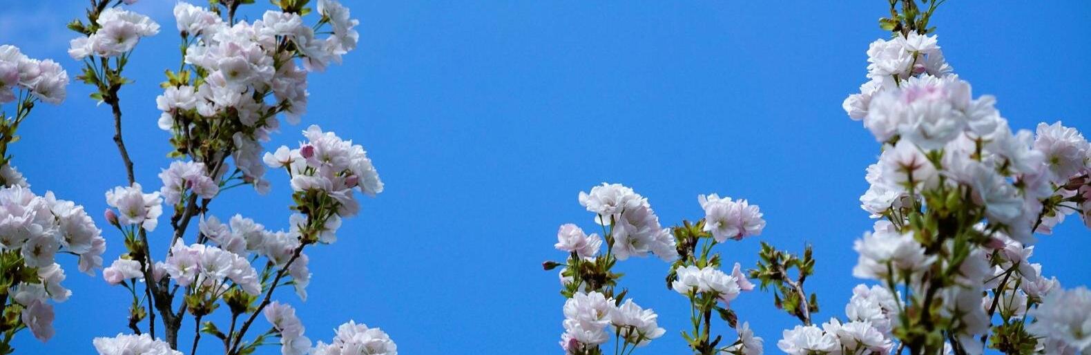 �� 23 �������� ����� ��������� � ������ 19 ������