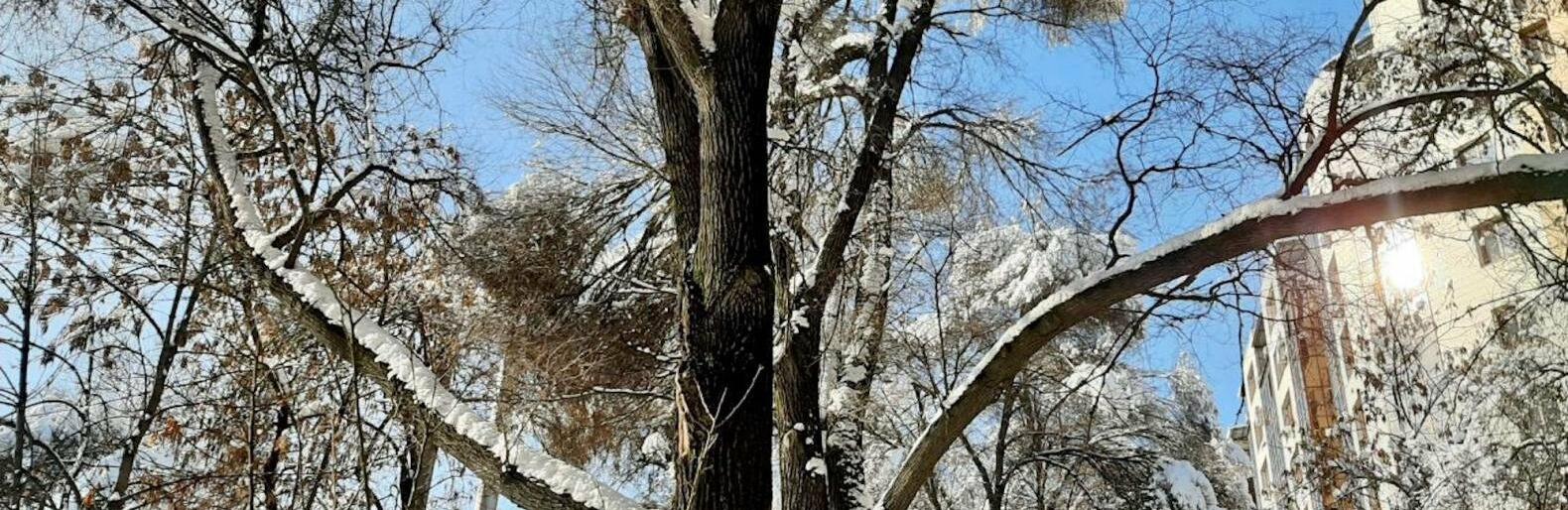 �������� ��������� � ������