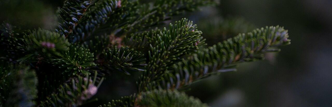 ����: inalmaty.kz