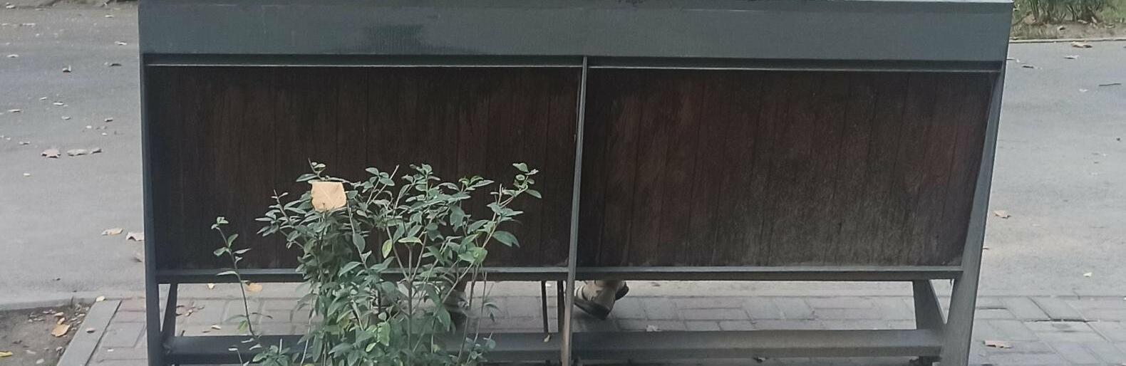 ����: inalmaty.kz