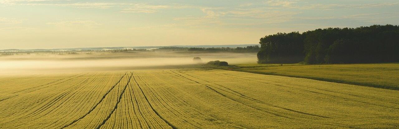 ����: inalmaty.kz