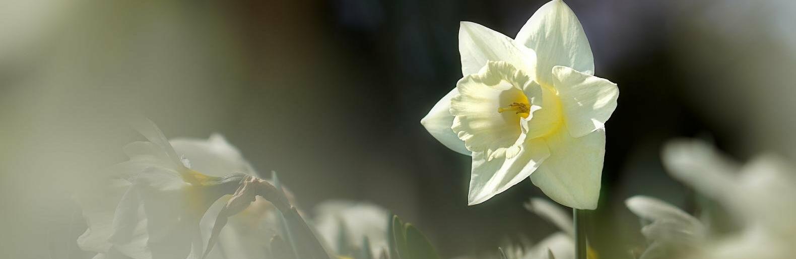 �� 23 �������� ����� ��������� � ������ 22 ������