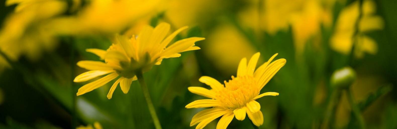 ����: inalmaty.kz