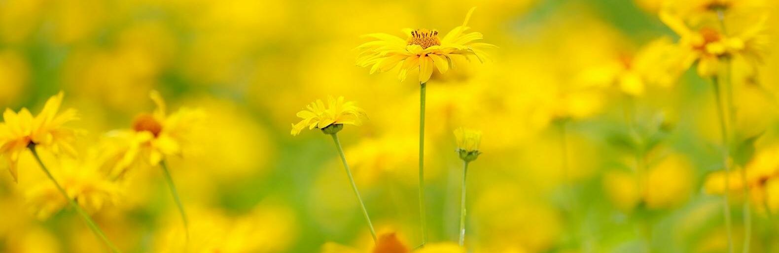 ����: inalmaty.kz