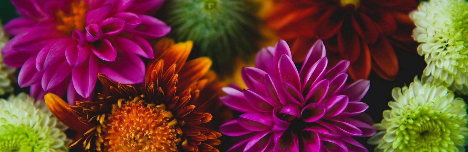 �� 29 �������� ����� ��������� � ������ 28 �������