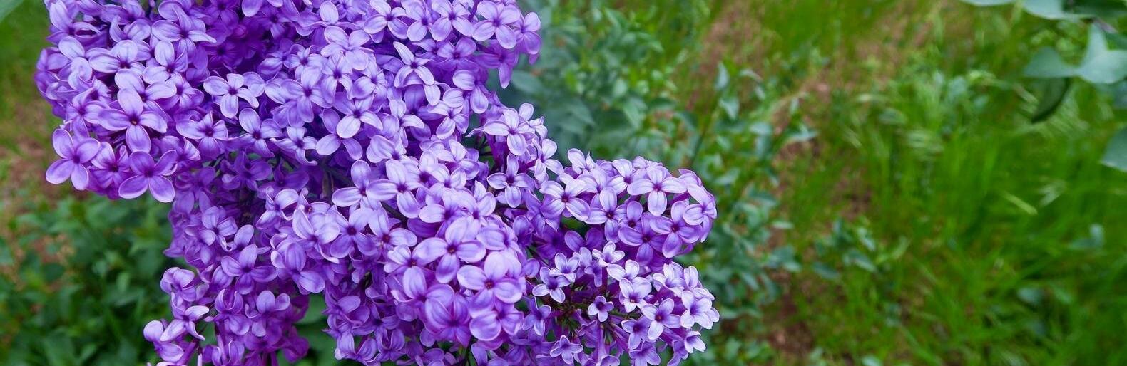 �� 28 �������� ����� ��������� � ������ 8 ���