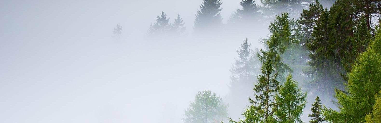 ����: inalmaty.kz