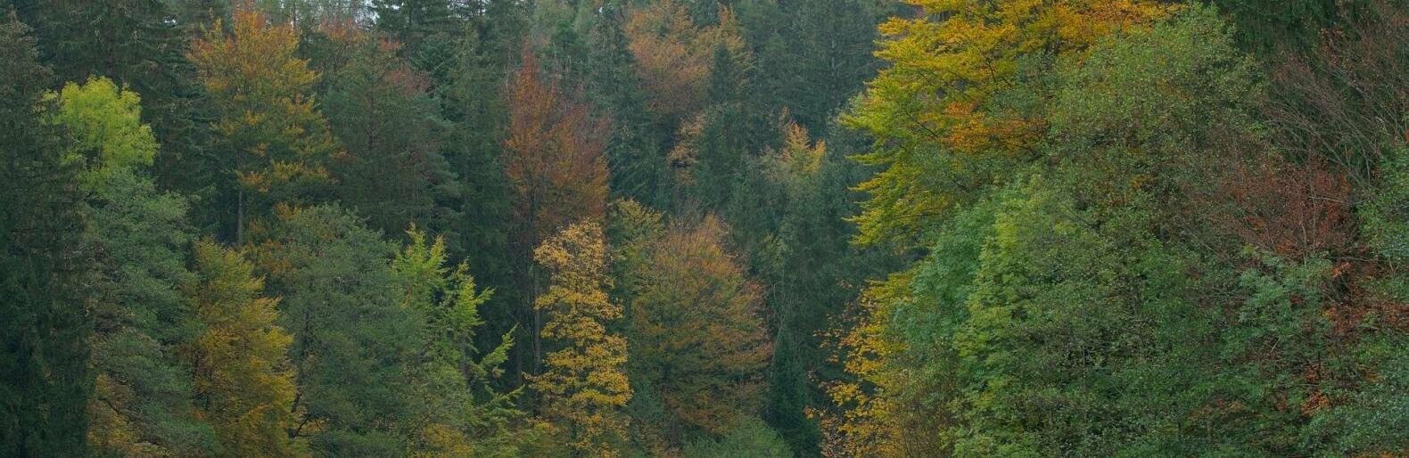 ����: inalmaty.kz