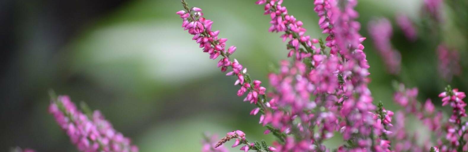 �� 29 �������� ����� ��������� � ������ 20 ��������