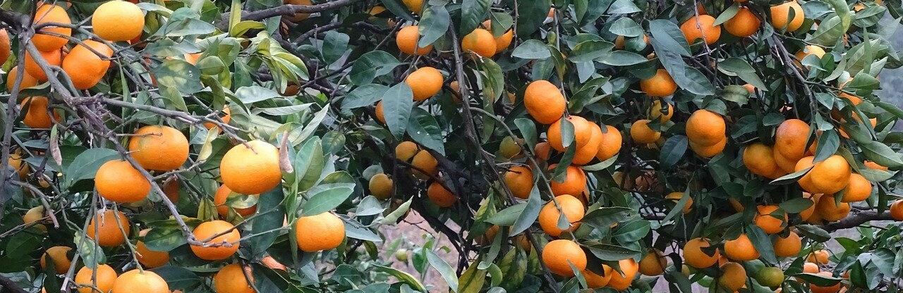 ����: inalmaty.kz