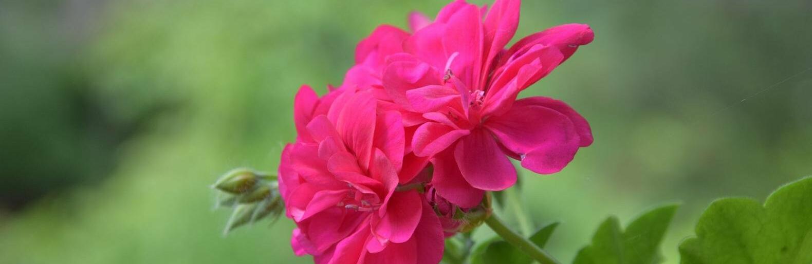 �� 30 �������� ����� ��������� � ������ 9 ����