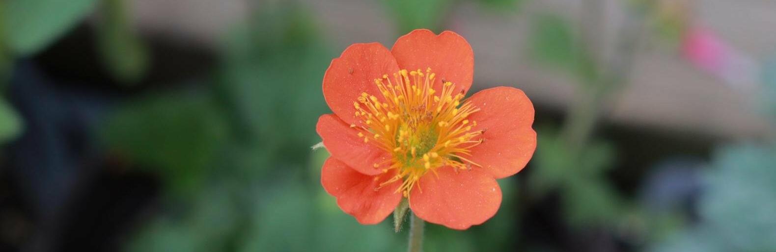 �� 20 �������� ����� ��������� � ������ 28 ������