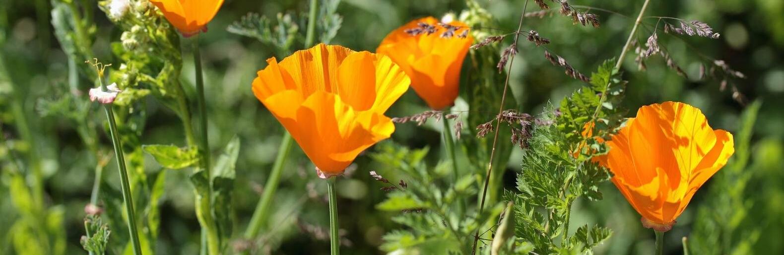 �� 33 �������� ����� ��������� � ������ 15 ����