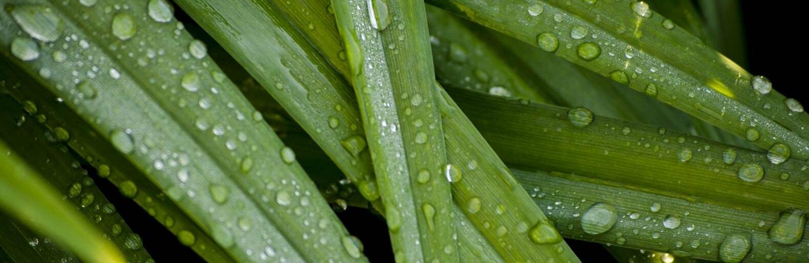 ����: inalmaty.kz