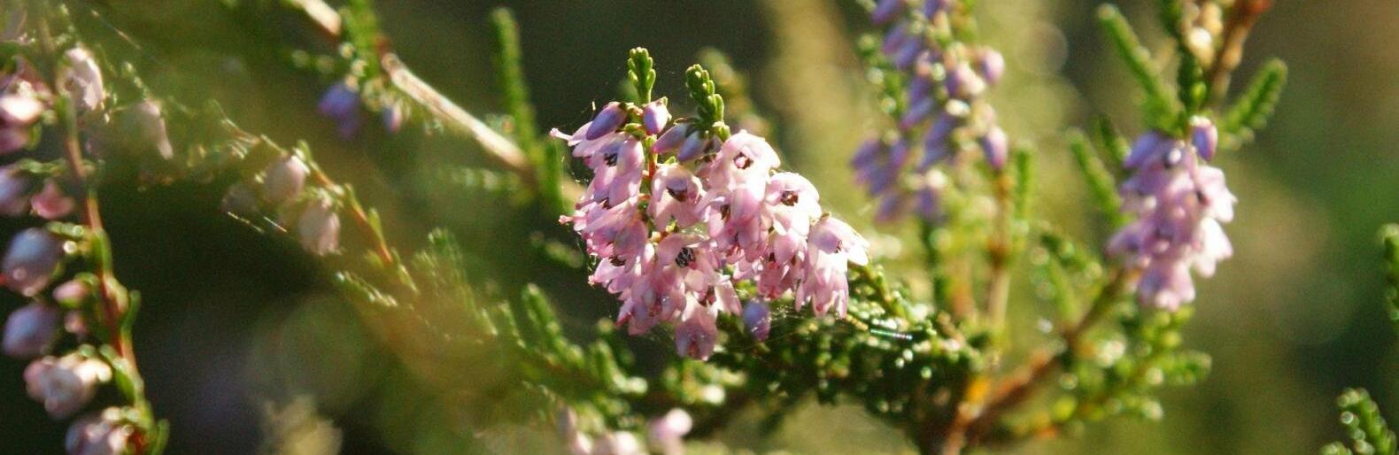 �� 27 �������� ����� ��������� � ������ 23 �������