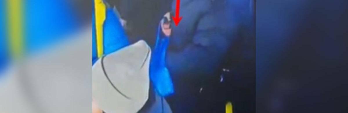 ����: inalmaty.kz