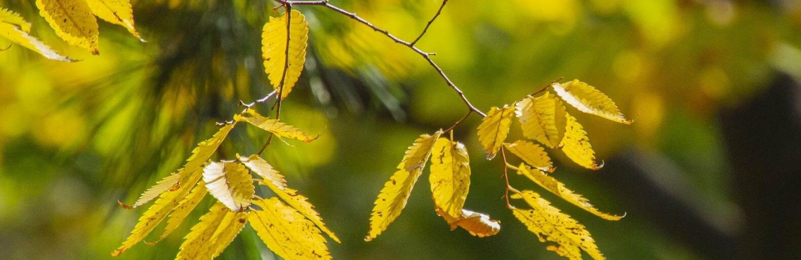 �� 14 �������� ����� ��������� � ������ 30 ��������