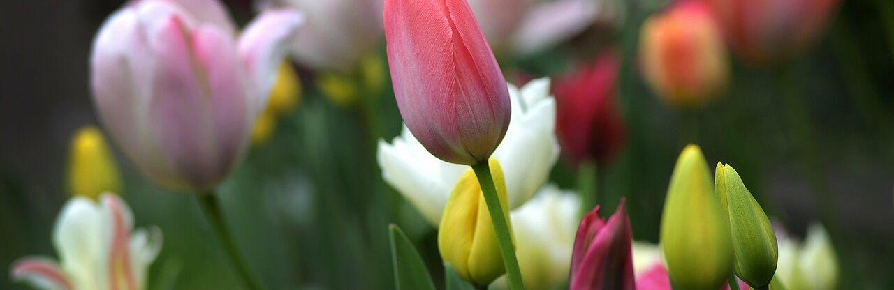 ����: inalmaty.kz