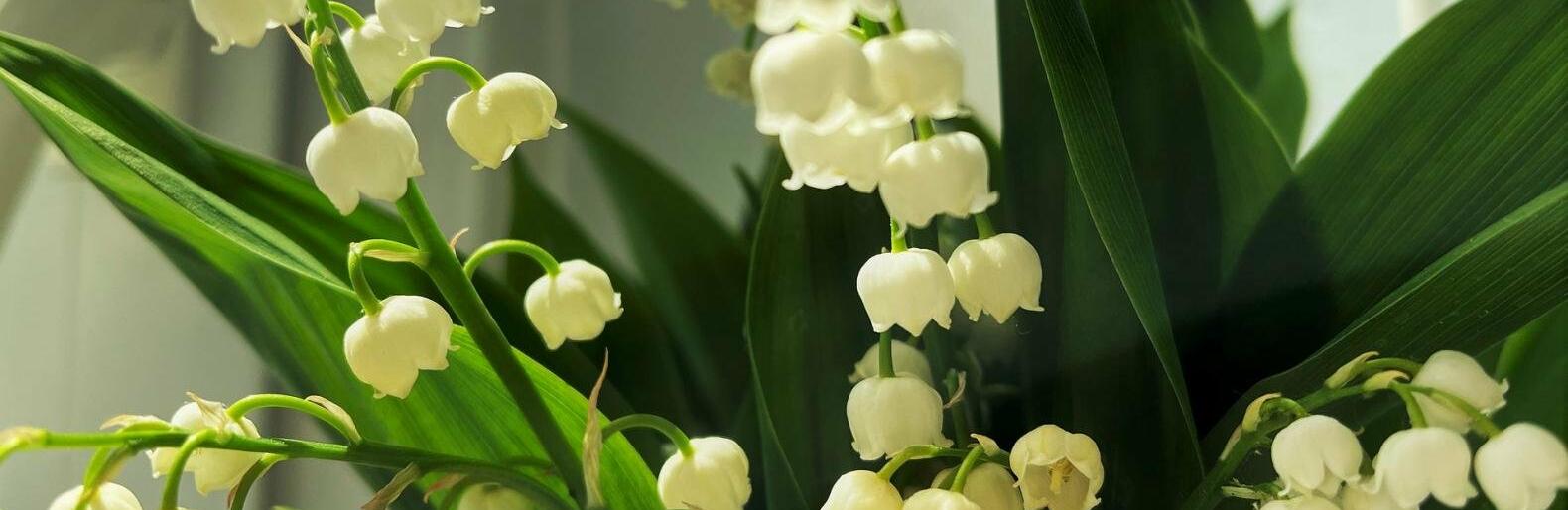 �� 28 �������� ����� ��������� � ������ 18 ���