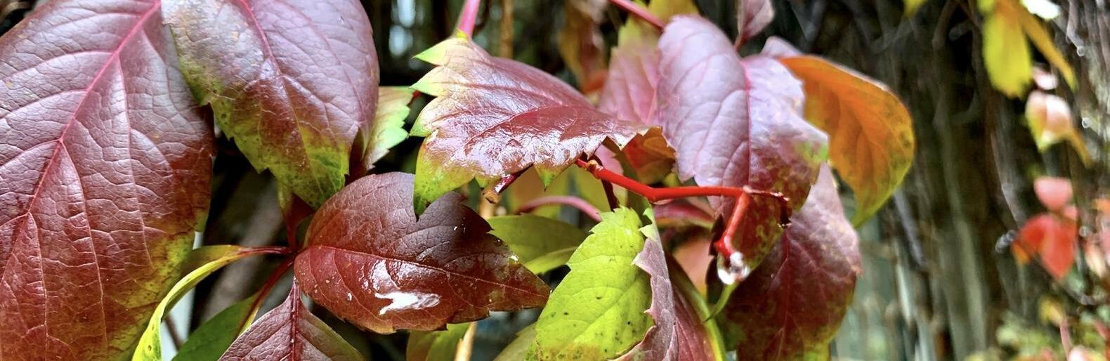 ����: inalmaty.kz