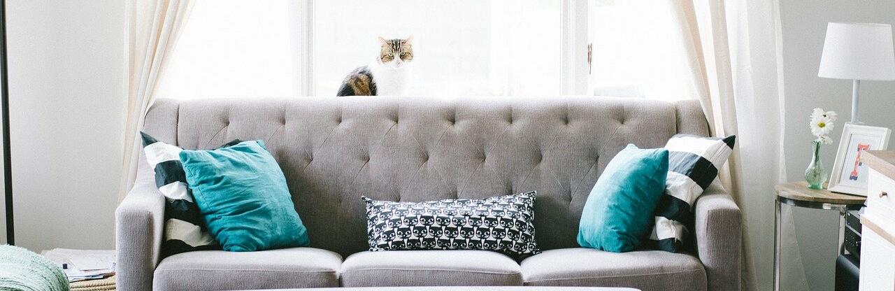  ������ ���������� ���������� ��� ��������� 