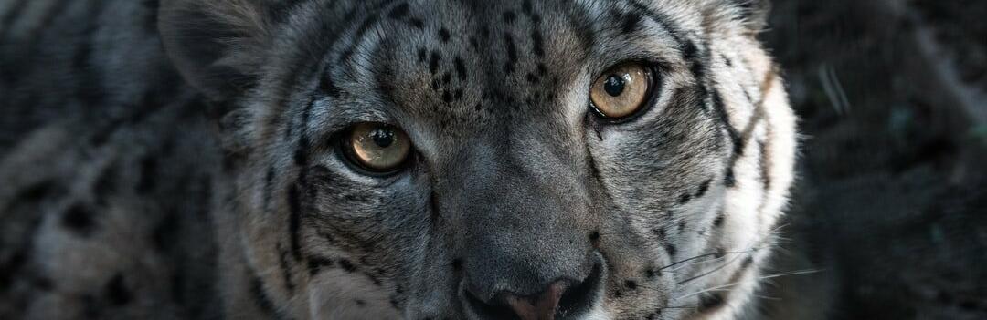 ����: inalmaty.kz