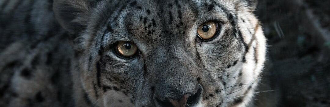 ����: inalmaty.kz