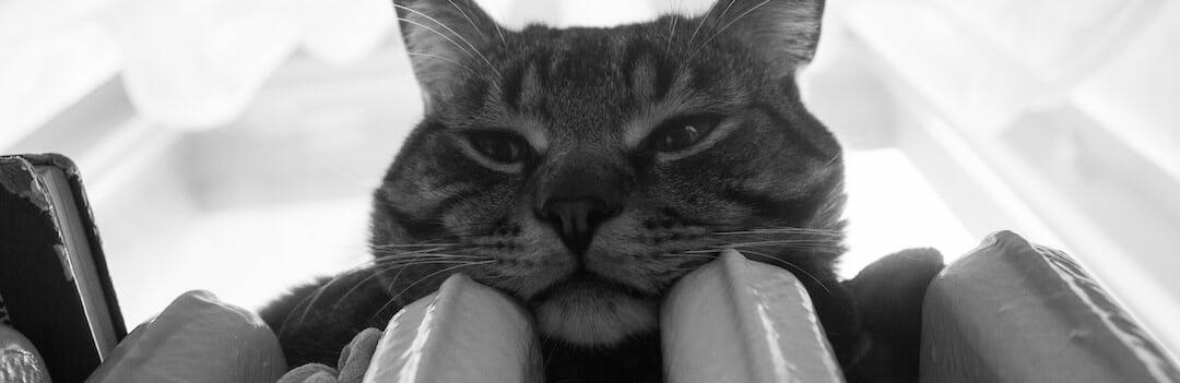 ����: inalmaty.kz