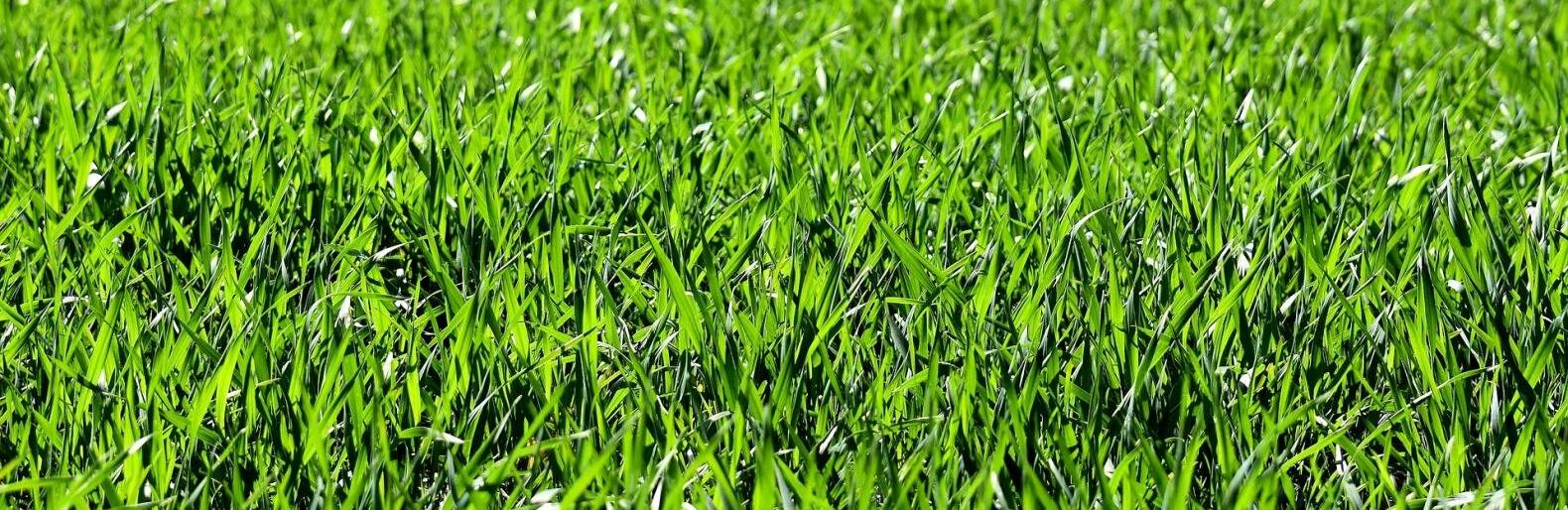 ����: inalmaty.kz