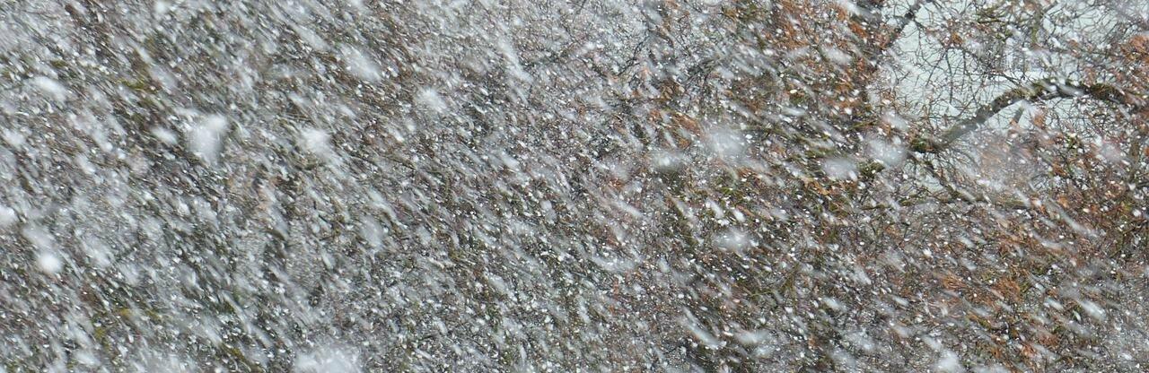 ����: inalmaty.kz