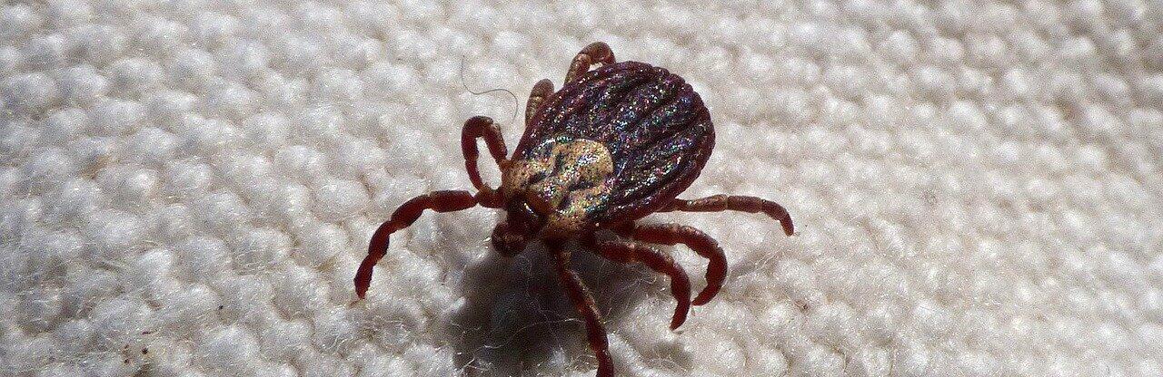  ����� ����� ���������������� ������ 