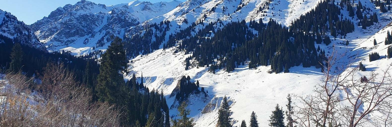 �� �����-������  ������ ����� ������ �����