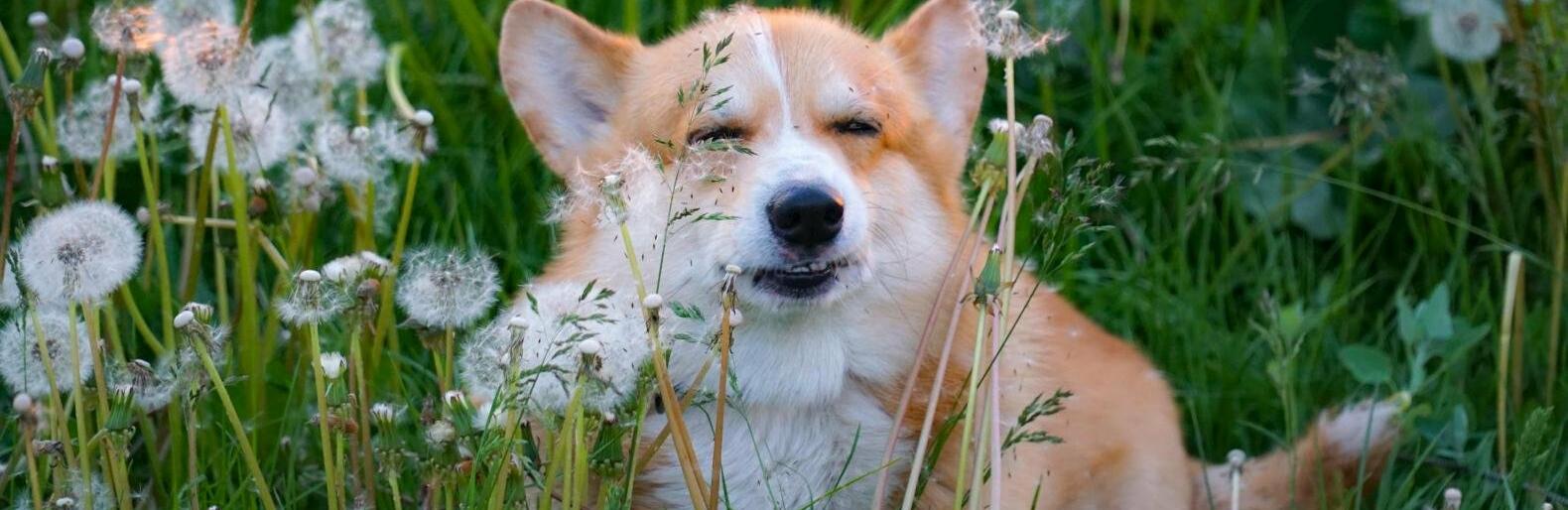 ����: inalmaty.kz