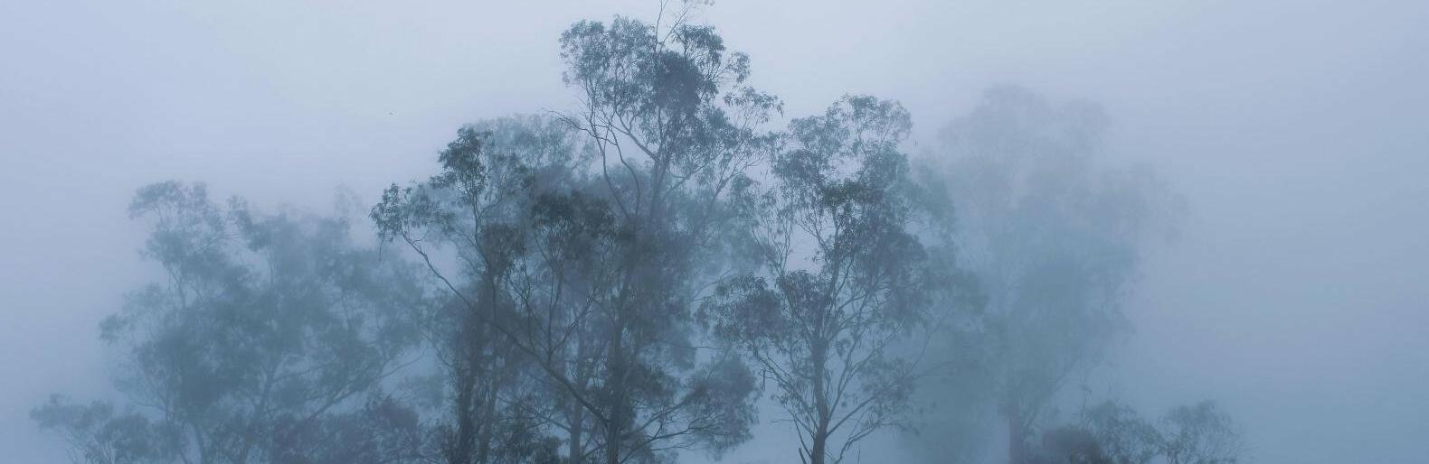 ����: inalmaty.kz