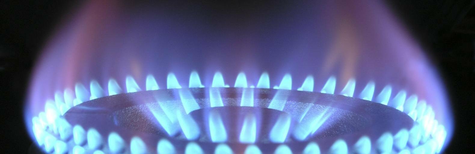 ����: inalmaty.kz