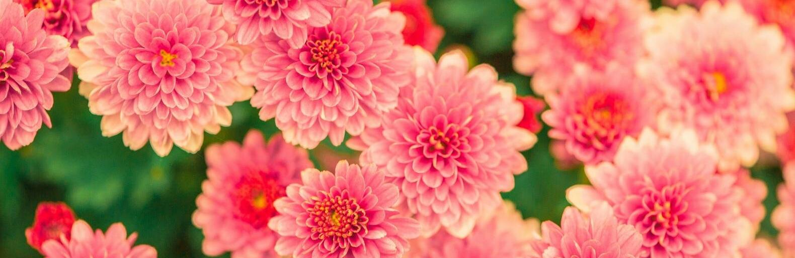 �� 30 �������� ����� ��������� � ������ 13 �������