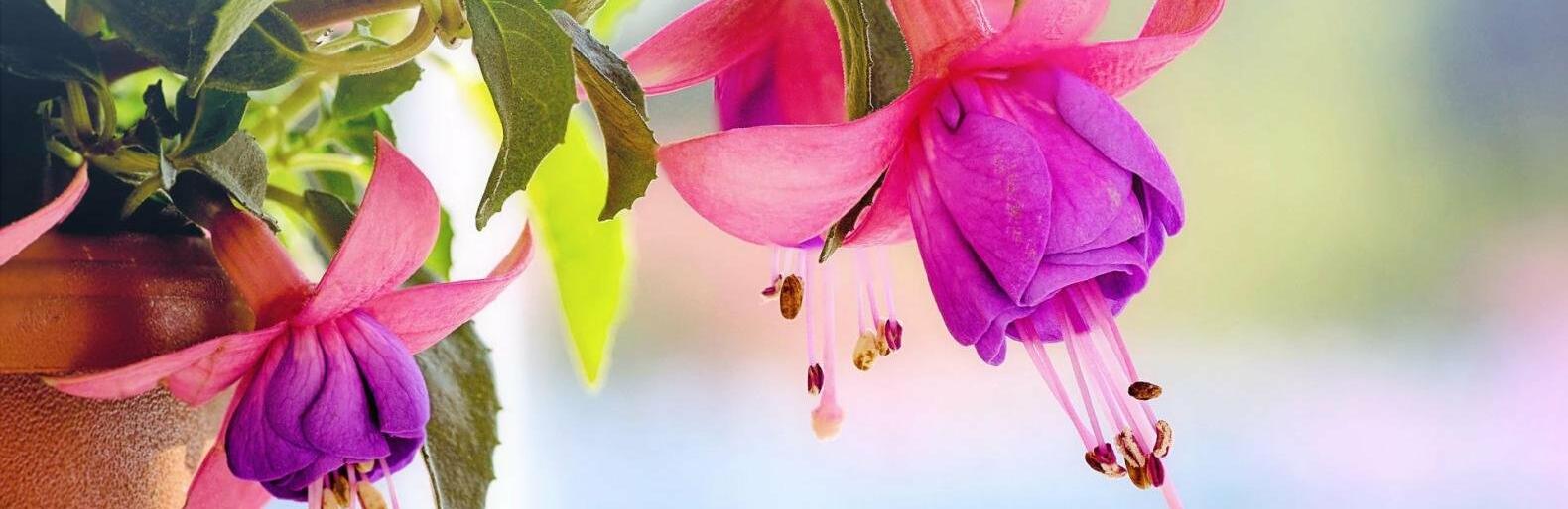 �� 30 �������� ����� ��������� � ������ 26 ���